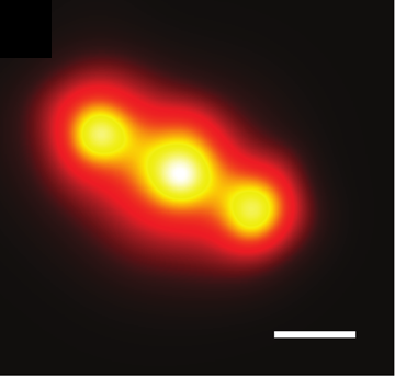A standard super-resolution reconstruction of a DNA ruler, where three closely spaced docking sites blur together into a single unresolved smear