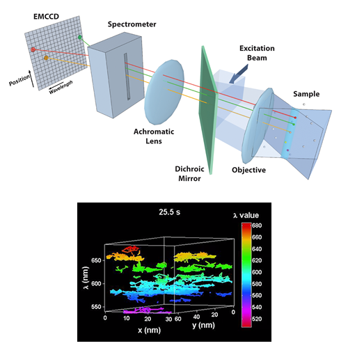Hyperspectral line-scanning microscope data showing multiple spectrally distinct quantum-dot species separated by emission color