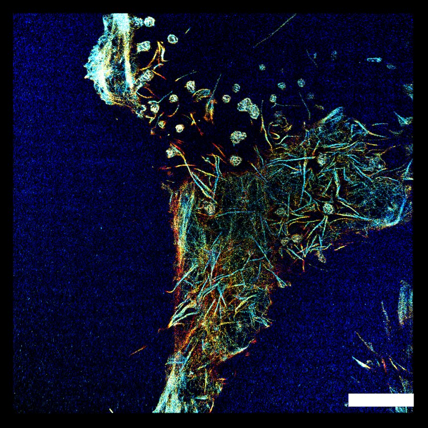A depth-color-coded three-dimensional super-resolution reconstruction from single-channel supercritical-angle localization microscopy, with axial position running from blue near the coverslip through cyan and yellow to red