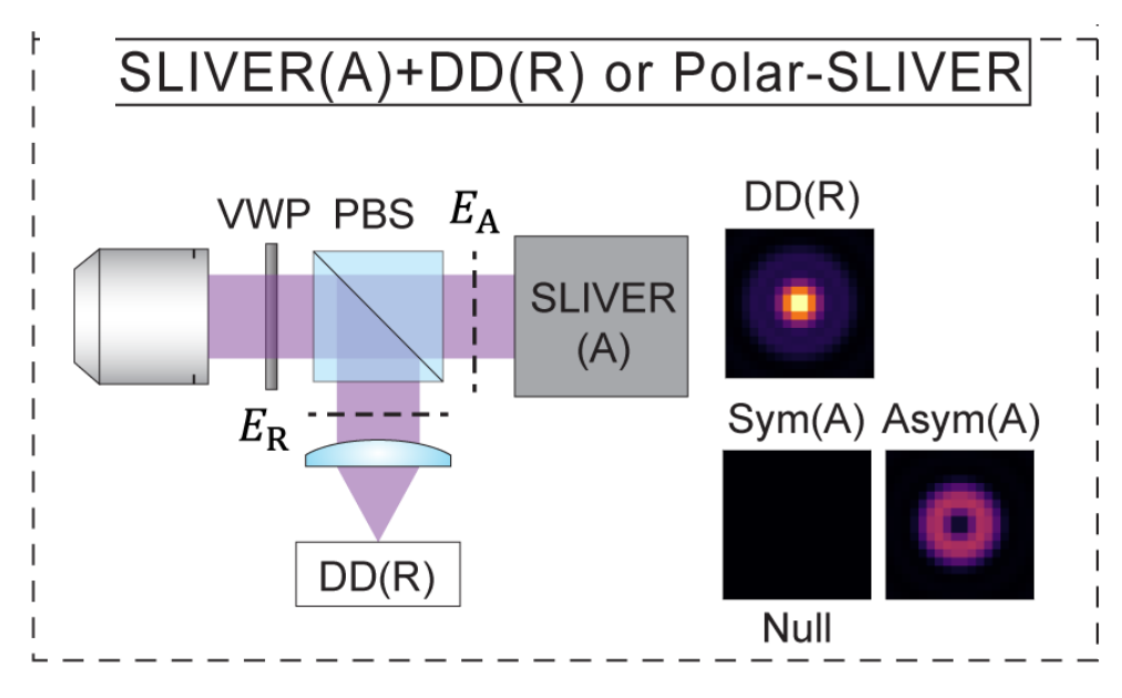 The proposed POLAR-SLIVER measurement system: a vortex wave plate and polarizing beam splitter split the collected light into its azimuthal and radial polarization components; the azimuthal component passes through a SLIVER image-inversion interferometer that sorts it into a symmetric image (which nulls to darkness) and an antisymmetric ring encoding the emitter separation, while the radial component is directly detected (DD). This azimuthal/radial splitting keeps separation-estimation precision near the quantum limit at separations where direct detection alone collapses